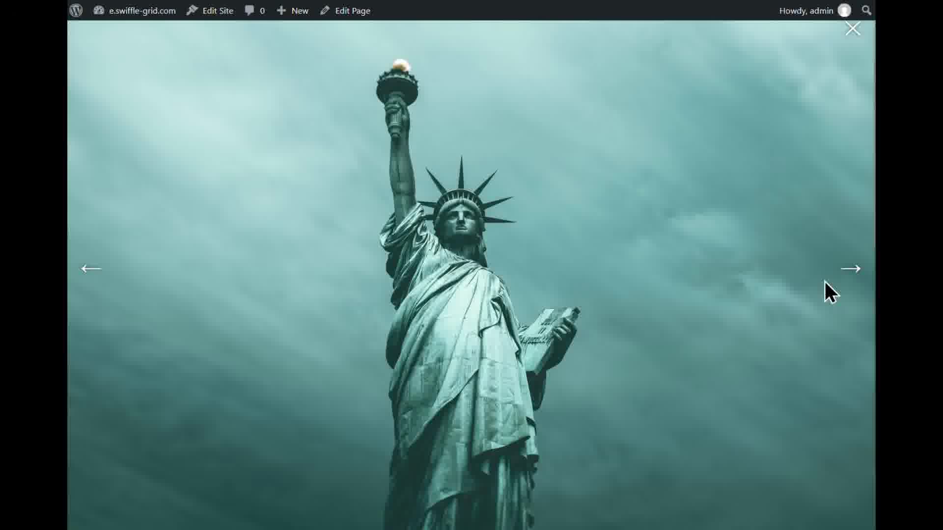 The gallery image opened full-screen with previous/next navigation arrows